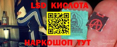 шишки Заводоуковск