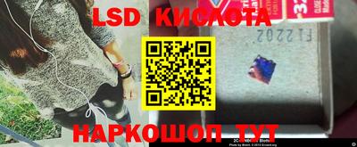 шишки Заводоуковск