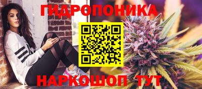 шишки Заводоуковск
