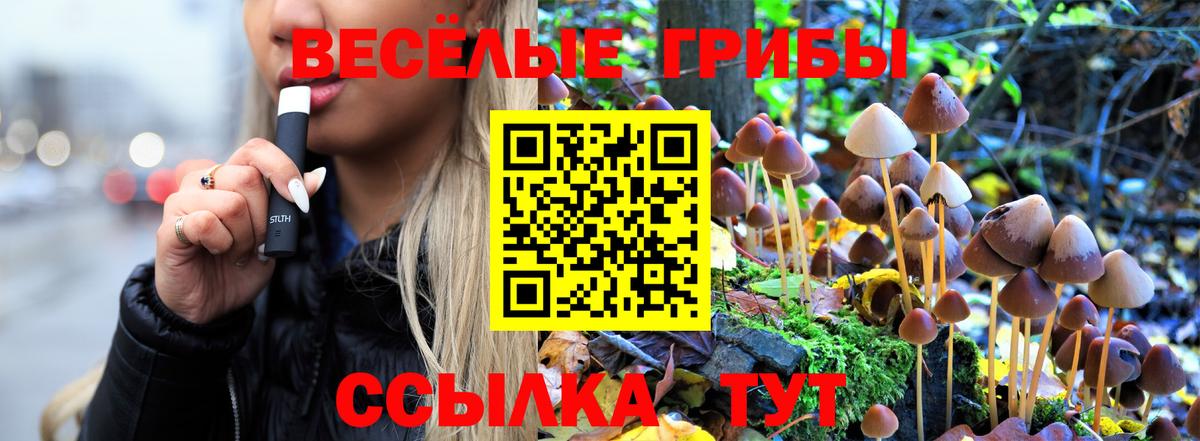 Галлюциногенные грибы Cubensis Мирный
